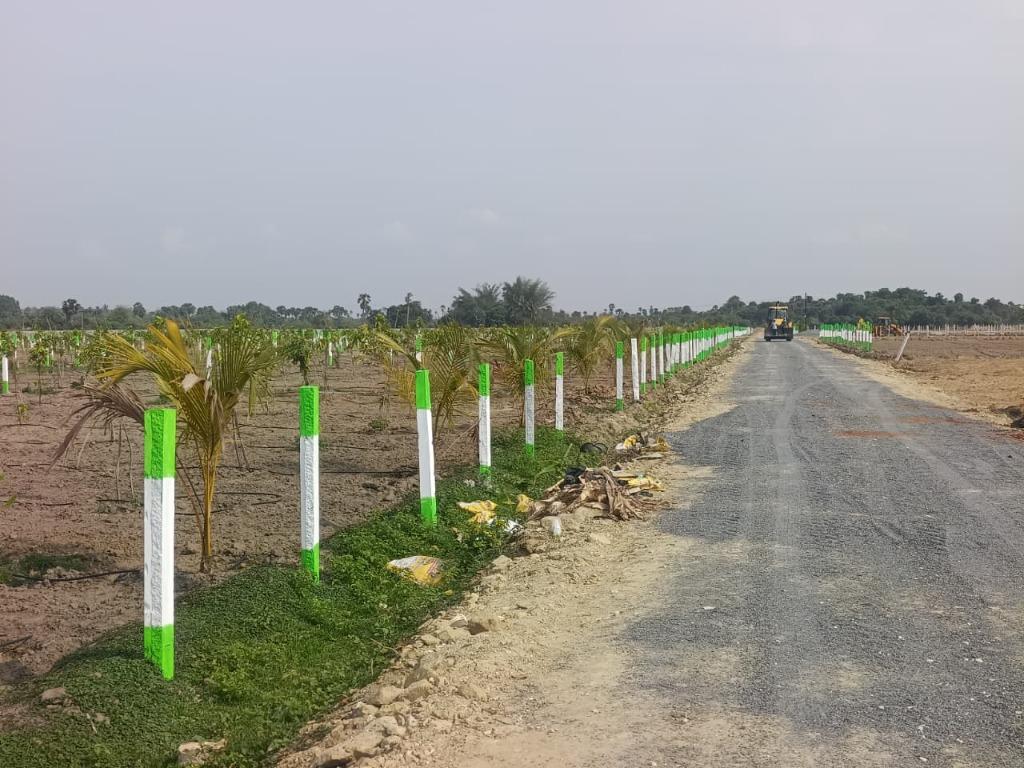 Wide 30-foot internal road under construction with avenue plantation on both sides and machinery in the distance